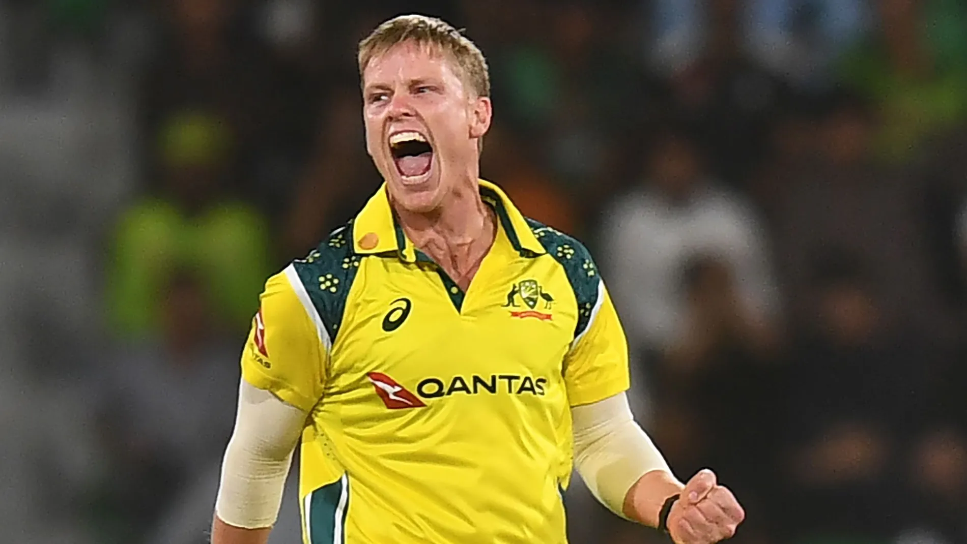 Bowlers shine as Australia level ODI series with Pakistan
